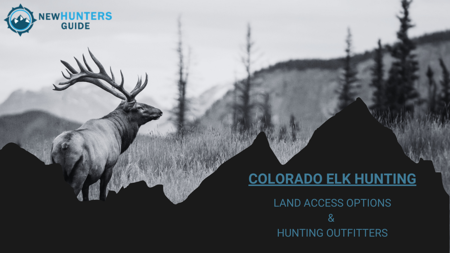 A Beginner’s Guide Colorado Elk Hunting Land Access & Hunting